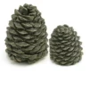 Set Of 4 Decorative Charred Pine Cones