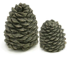 Set Of 4 Decorative Charred Pine Cones